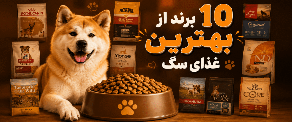10 برند مهم غذای سگ