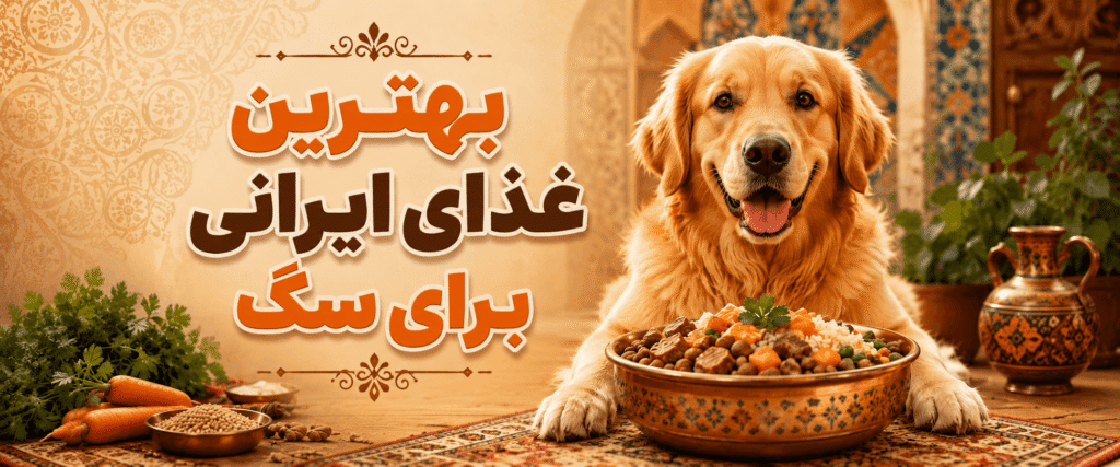 بهترین غذای سگ ایرانی