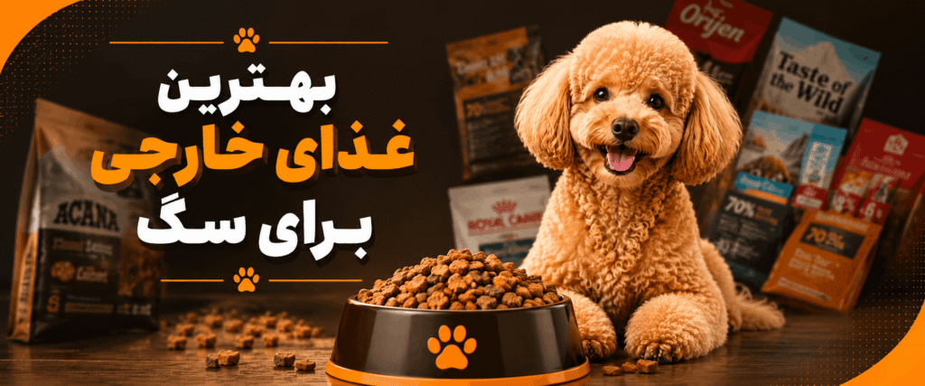 بهترین غذای خارجی برای سگ