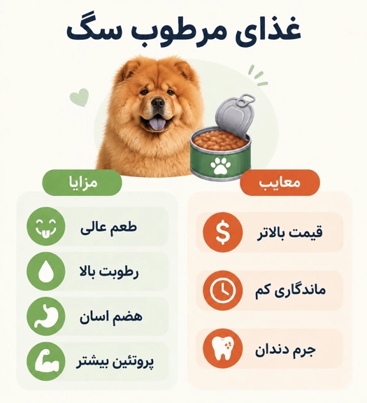 مزایا و معایب غذای مرطوب