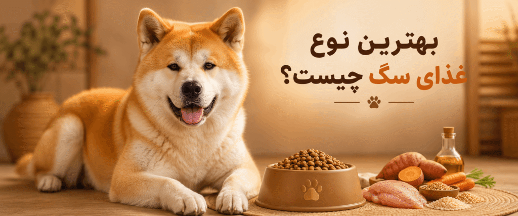 بهترین نوع غذای سگ چیست