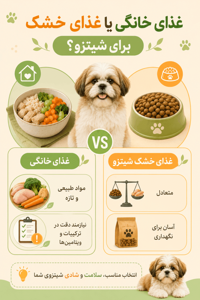 غذای خانگی یا غذای خشک برای شیتزو؟