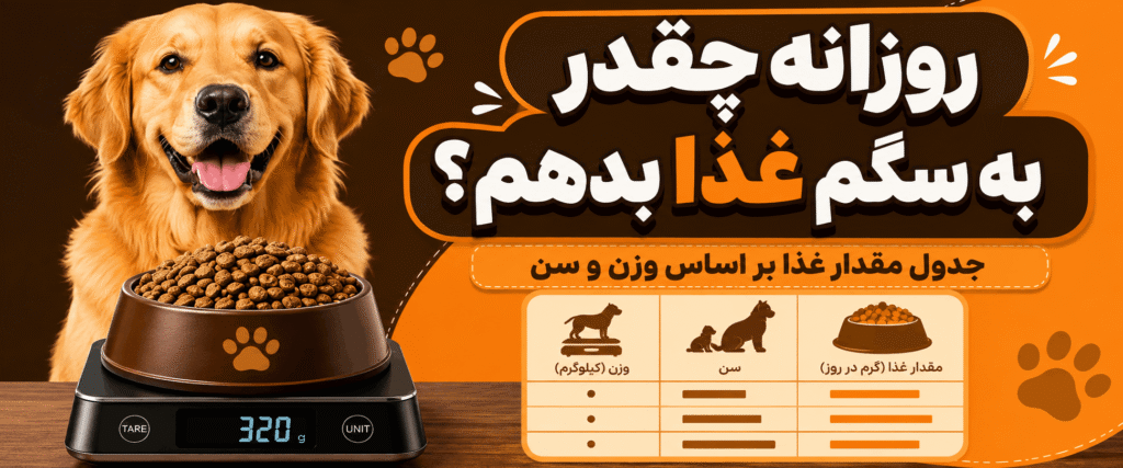 روزانه چقدر به سگم غذا بدهم