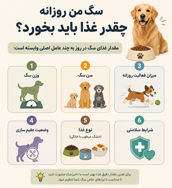 سگ من روزانه چقدر غذا باید بخورد؟