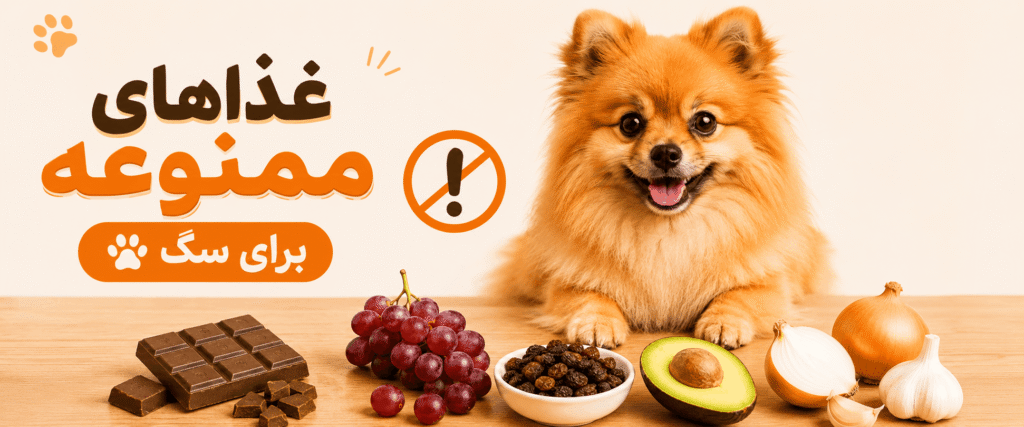 غذاهای ممنوعه برای سگ