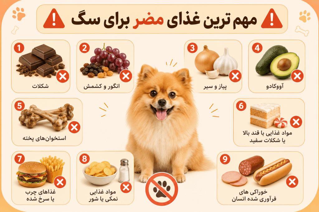 چه غذاهایی برای سگ خطرناک هستند؟