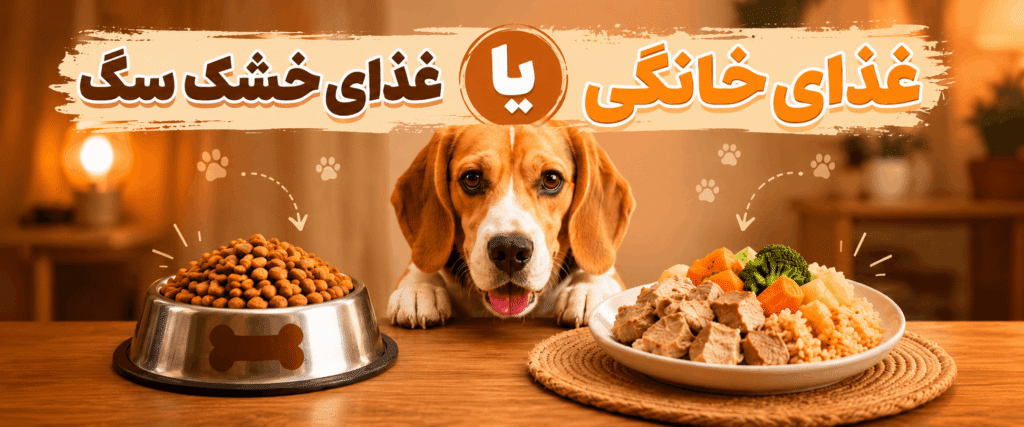 غذای خانگی یا غذای خشک سگ