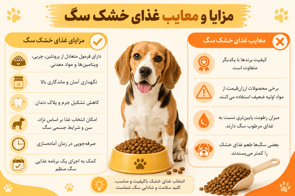 مزایا و معایب غذای خشک سگ