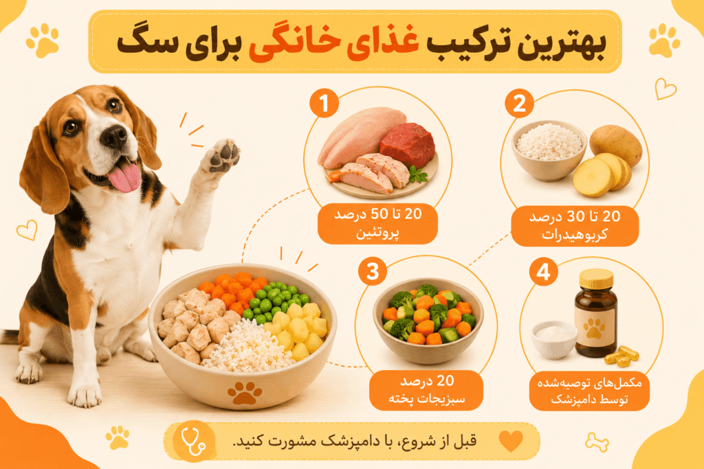 بهترین ترکیب غذای خانگی برای سگ
