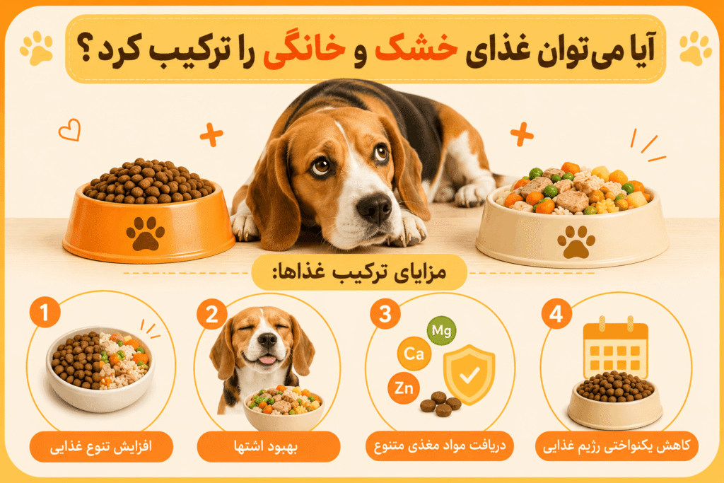 ترکیب غذای خشک و خانگی برای سگ