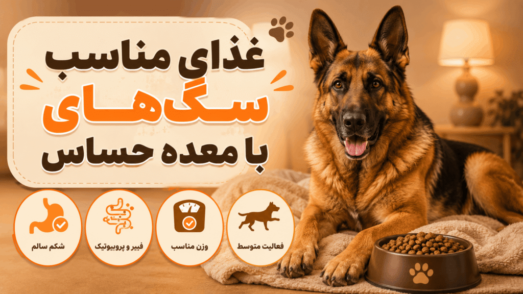 بهترین غذای سگ برای معده حساس