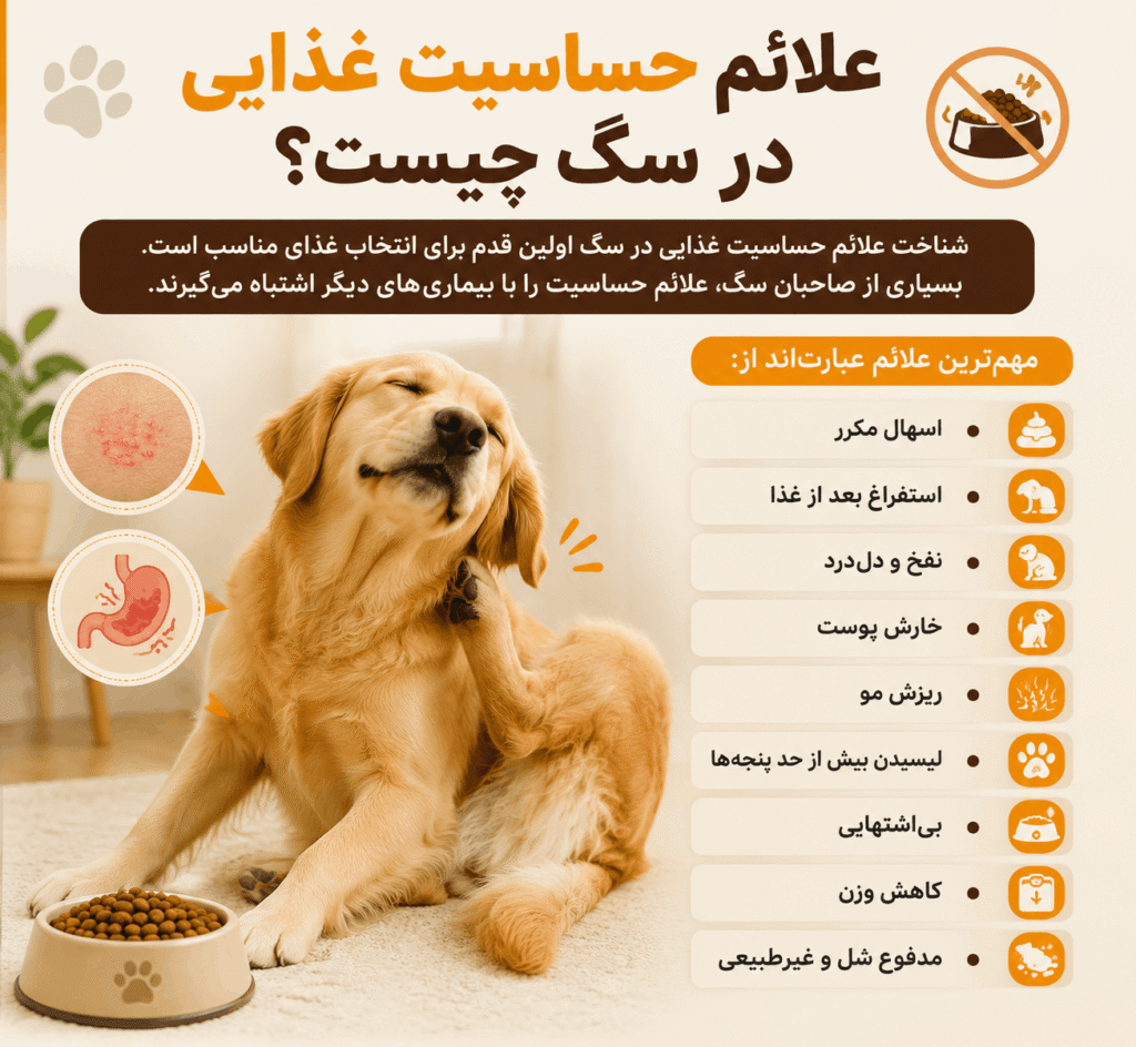 علائم حساسیت غذایی در سگ