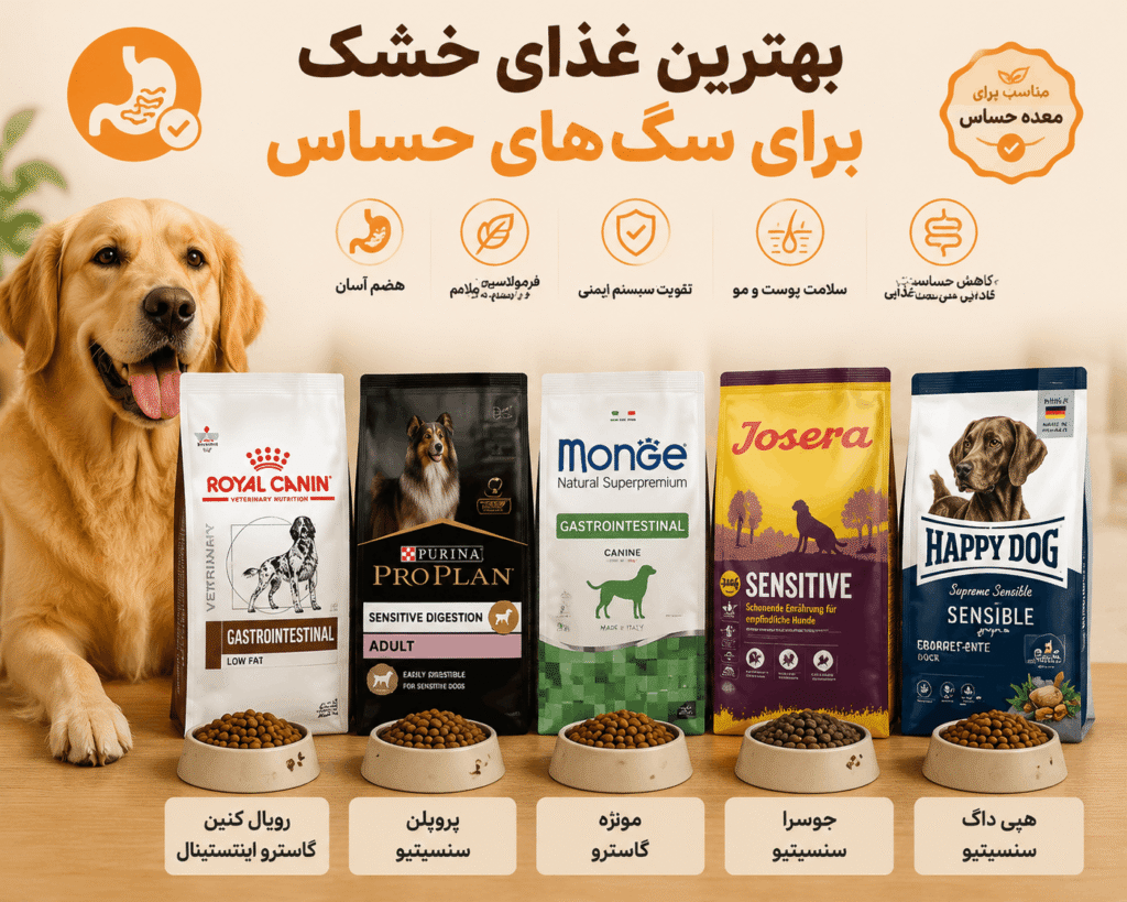 بهترین غذای خشک برای سگ ‌های حساس
