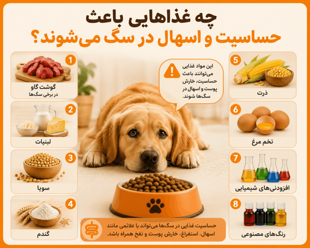 چه غذاهایی باعث حساسیت و اسهال در سگ می ‌شوند؟