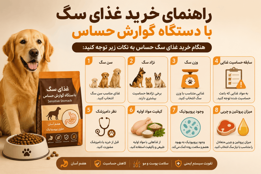 راهنمای خرید غذای سگ 