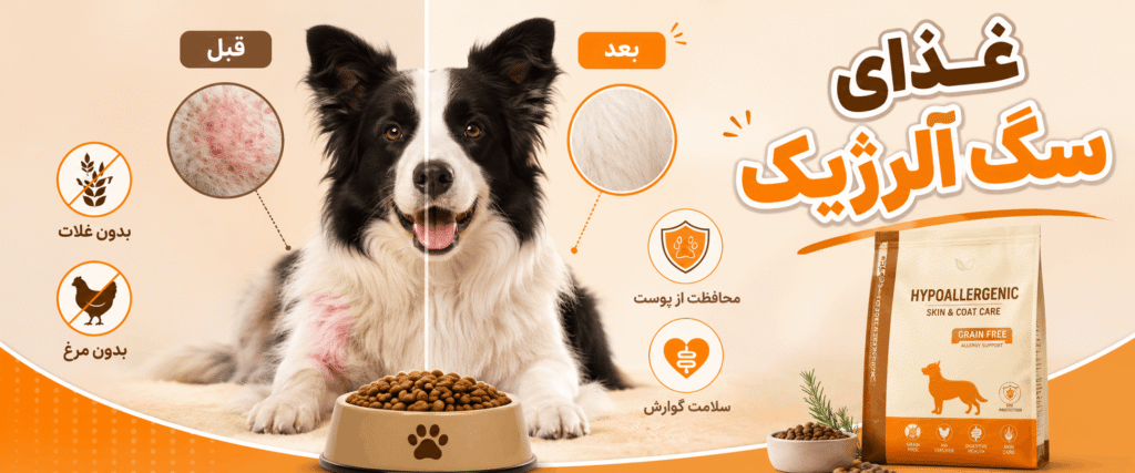 غذای سگ آلرژیک