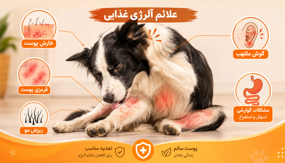 علائم حساسیت غذایی در سگ