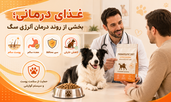 غذای درمانی برای آلرژی سگ