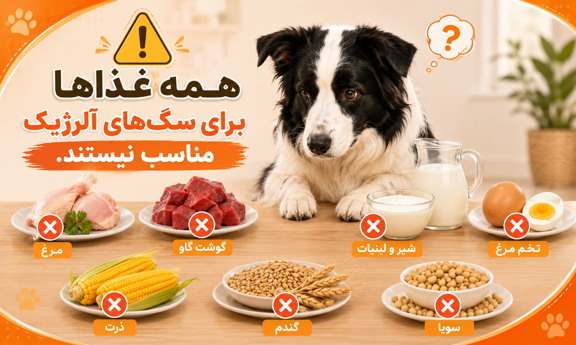 مواد غذایی ممنوع برای سگ آلرژیک