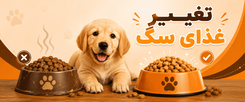 راهکار تغییر غذای سگ