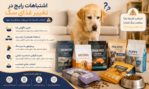 اشتباهات رایج در تغییر غذای سگ