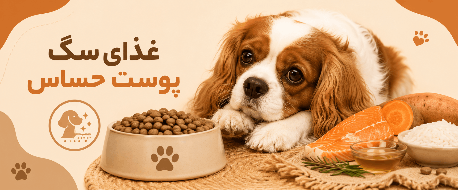 بهترین غذای سگ برای پوست حساس