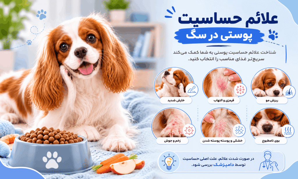 علائم حساسیت پوستی در سگ