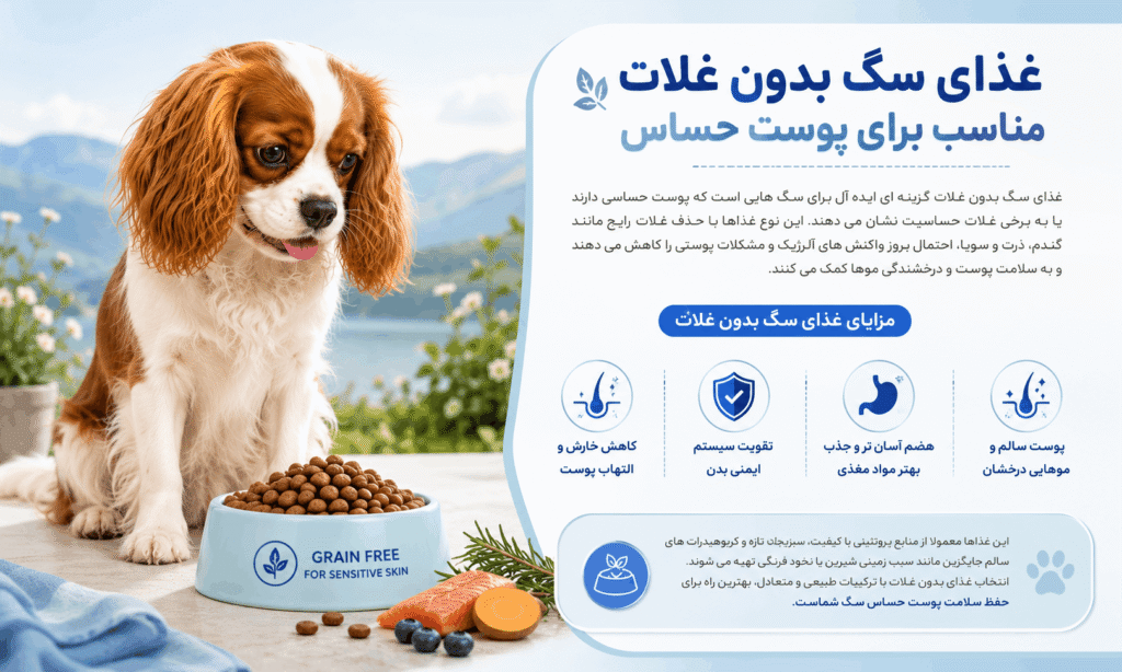 غذای سگ بدون غلات برای پوست حساس