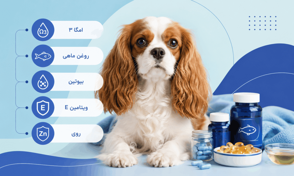 مکمل های مفید برای پوست سگ