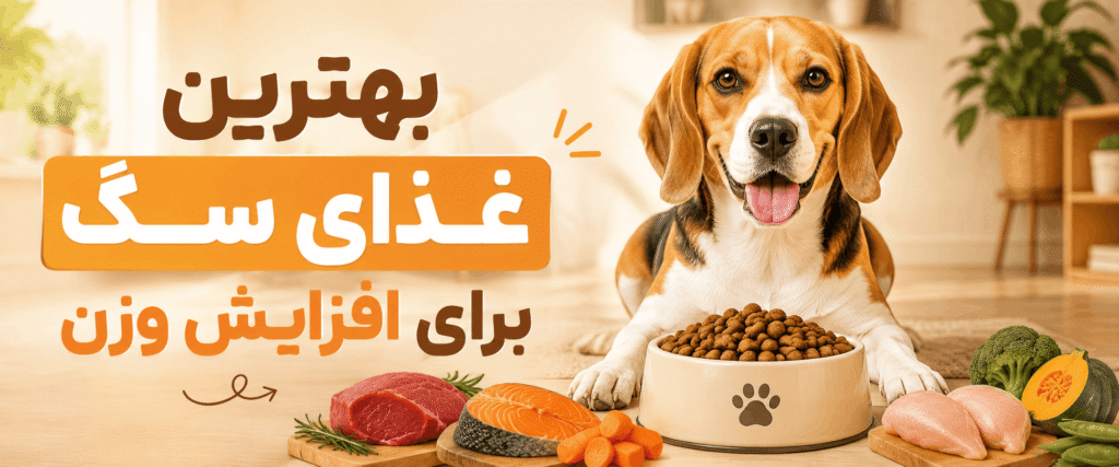 غذای سگ برای افزایش وزن