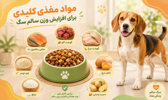 مواد غذایی موثر در وزن گیری سگ