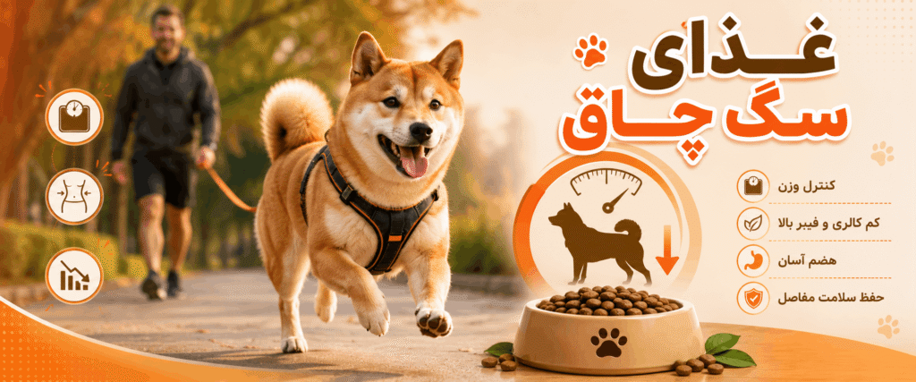 غذای سگ چاق