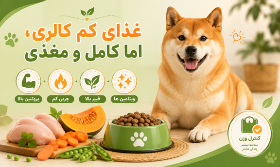 غذا برای کاهش وزن سگ