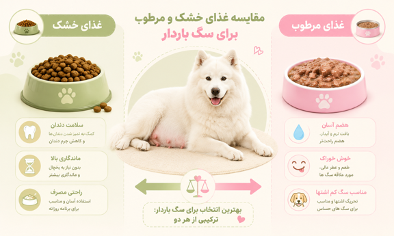 غذای خشک یا مرطوب برای سگ باردار