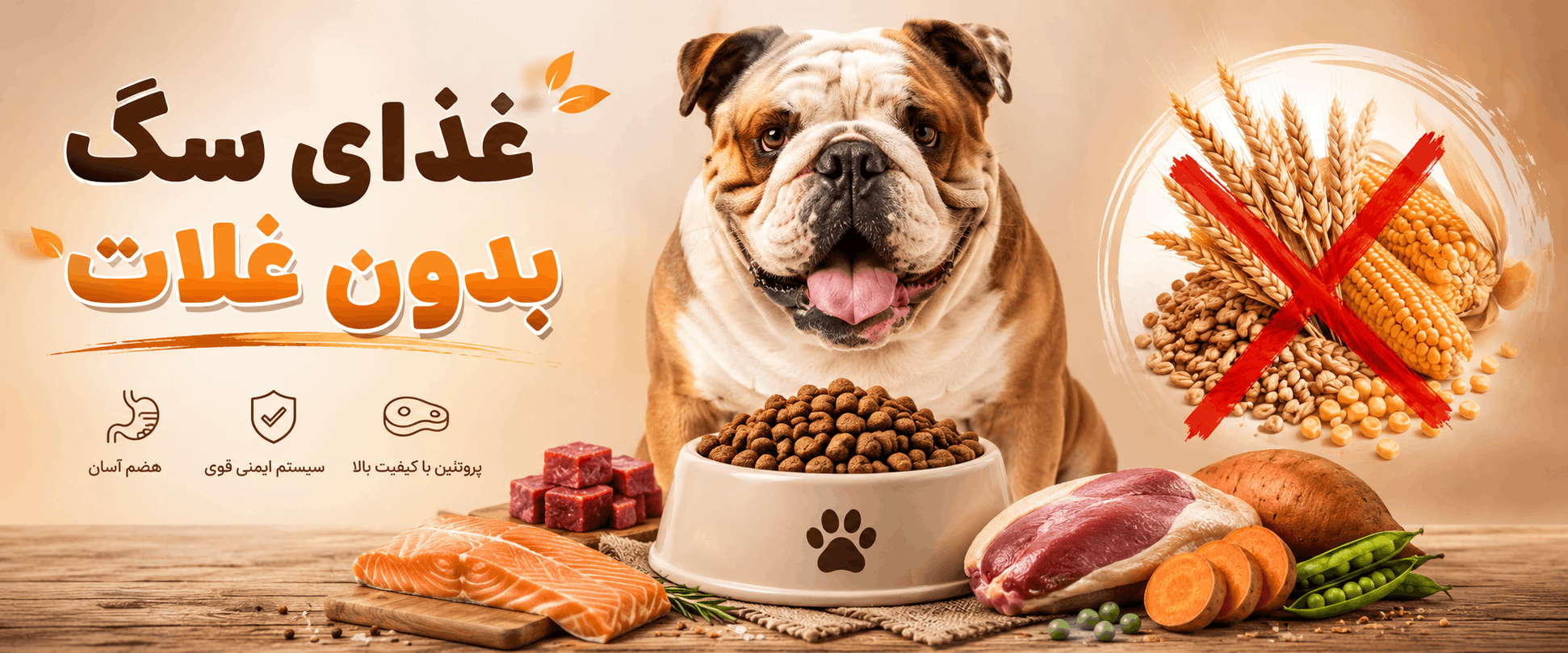 غذای سگ بدون غلات چیست؟