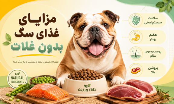 مزایای غذای بدون غلات برای سگ
