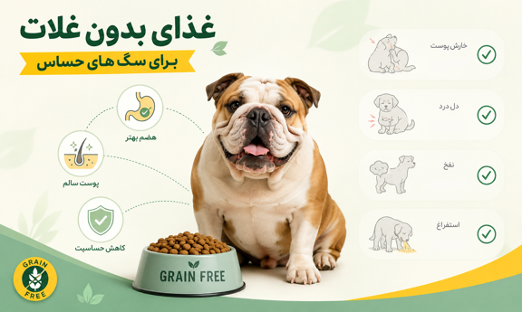 غذای بدون غلات برای سگ های حساس