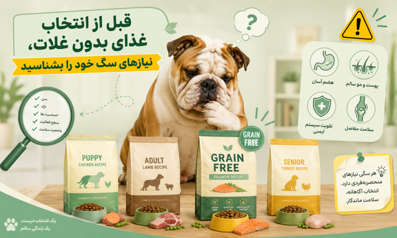 ترکیبات غذای Grain Free