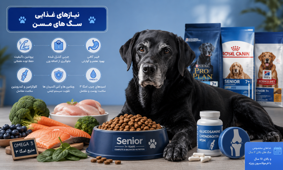بهترین غذای سگ سالمند