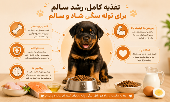 تغذیه کامل توله سگ 