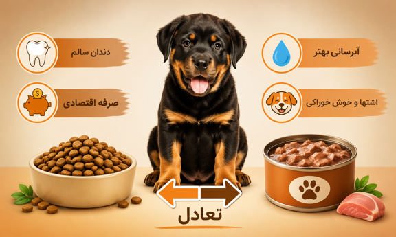 غذای خشک یا مرطوب برای توله سگ؟
