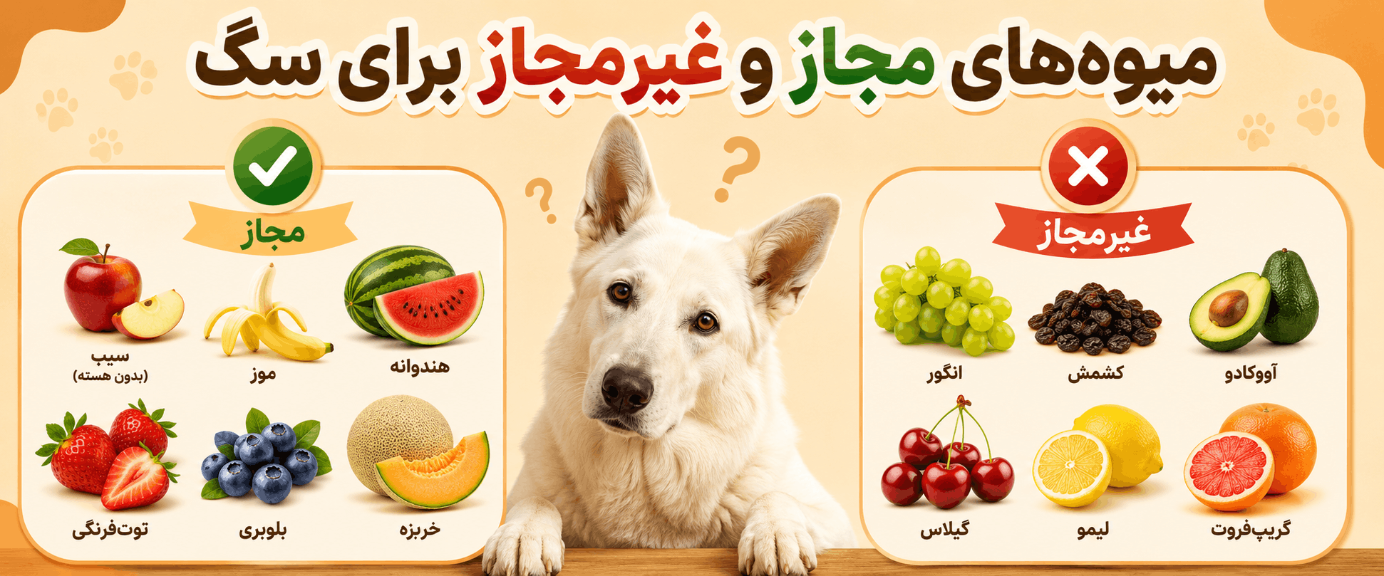 آیا سگ ها می توانند میوه بخورند؟