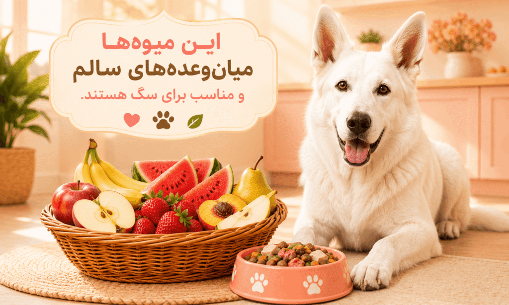 میوه های مجاز برای سگ