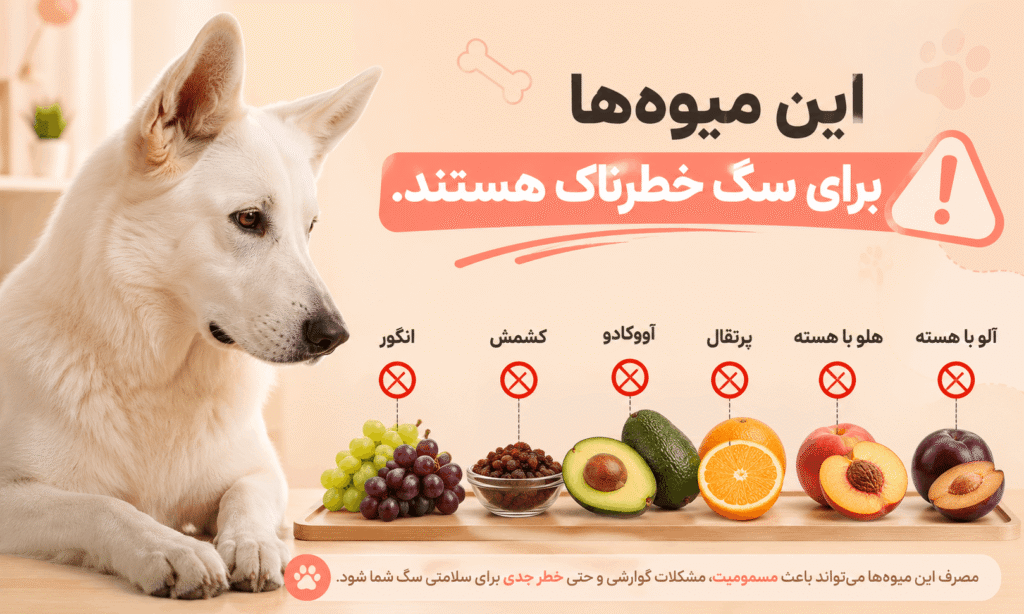 میوه های خطرناک برای سگ
