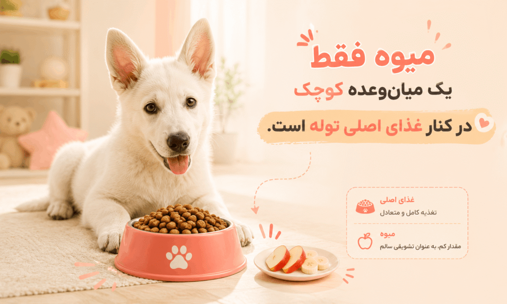 میوه برای توله سگ