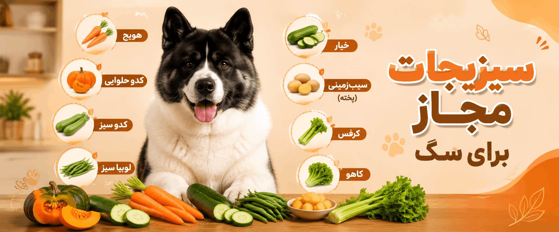 آیا سگ ها می توانند سبزیجات بخورند؟