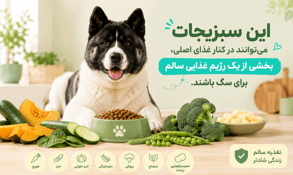 بهترین سبزیجات برای سگ