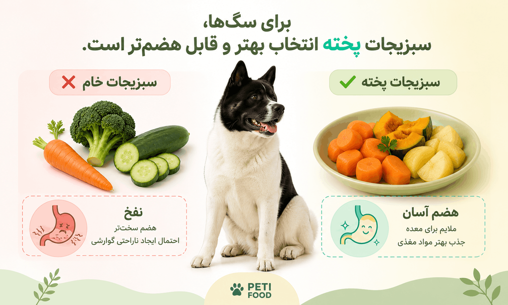 سبزیجات خام برای سگ بهتر است یا پخته؟