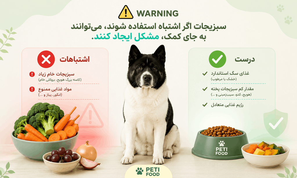 اشتباهات رایج در تغذیه سگ با سبزیجات