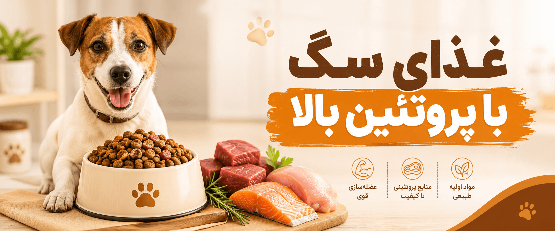 غذای سگ با پروتئین بالا چیست؟
